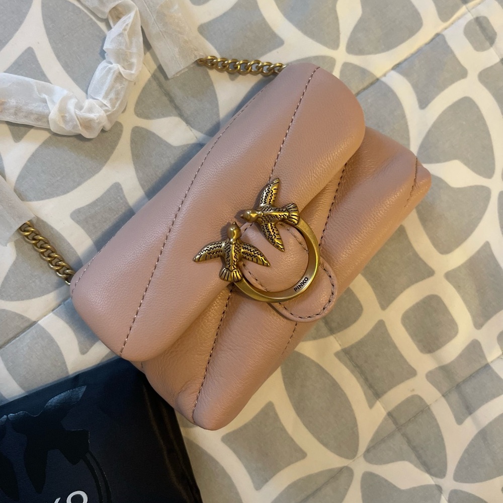 Pinko Women's Pink Leather Bag mini